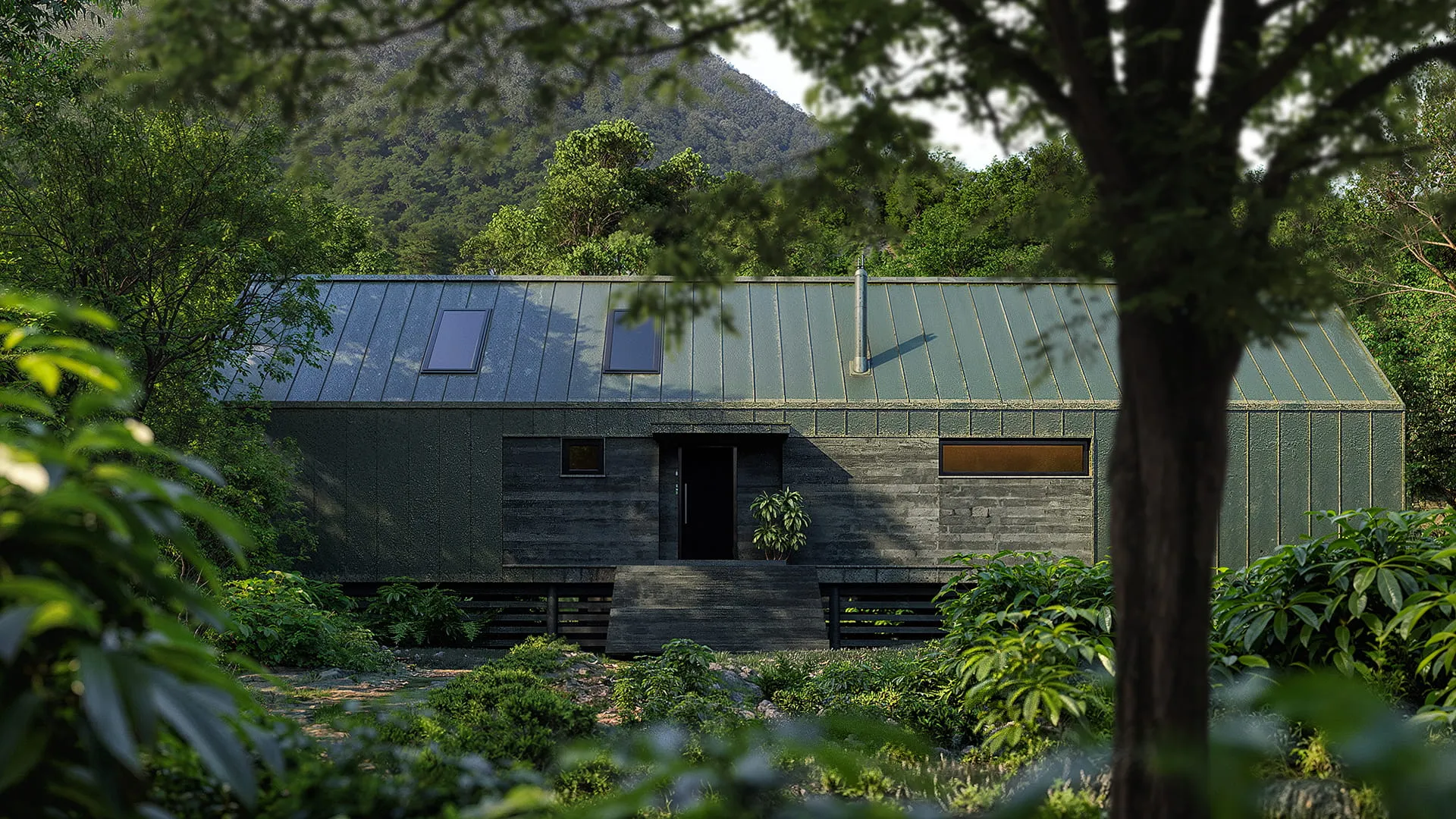 Forest Cabin Study
